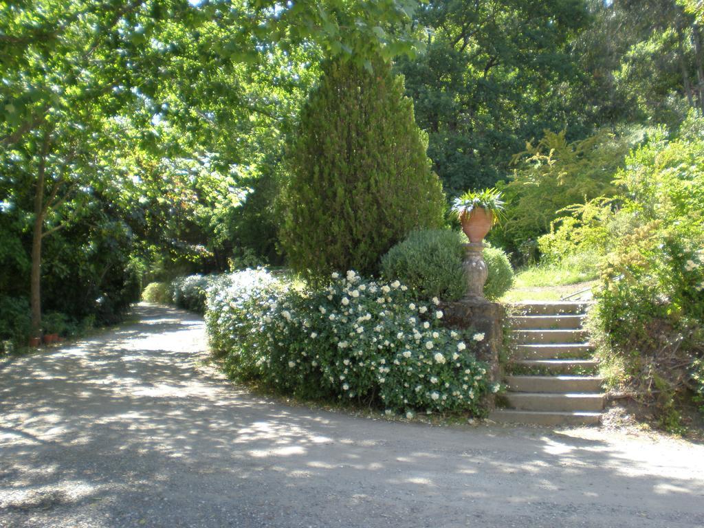 Quinta Da Vargem Unhais Da Serra Dış mekan fotoğraf
